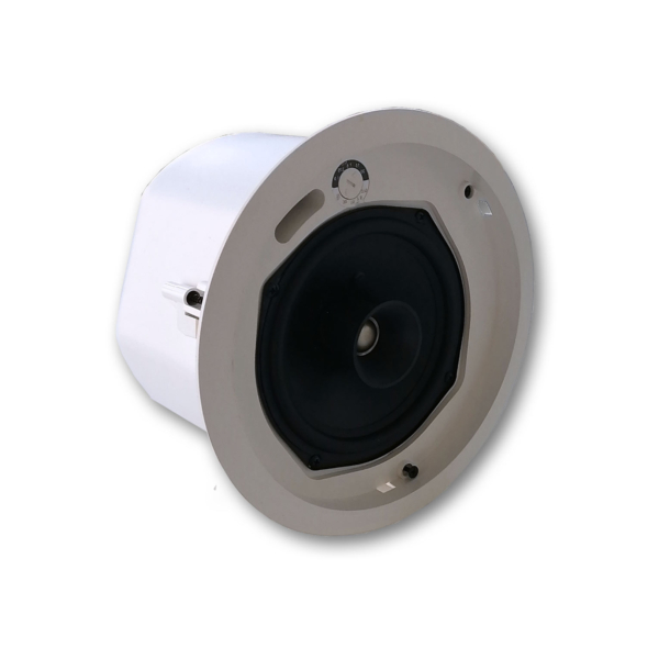 csb-6300-100v speaker